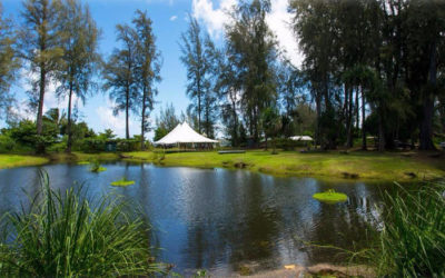 Eat the Invasives 2019 a Huge Success! | read article