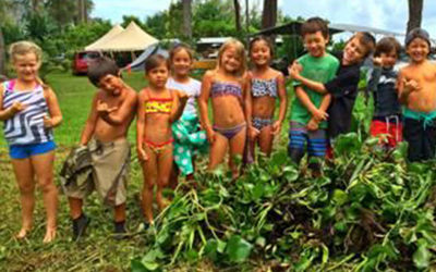 Ahhh…  Summertime Here at Waipā… | read article