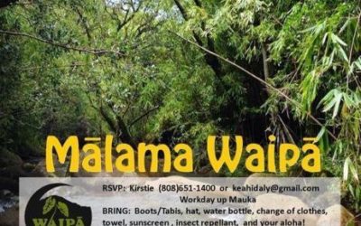 Join Us for Community Workday FEB 24th | read article