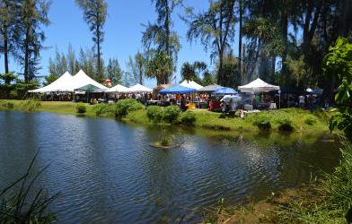 Save the Date for the 2019 Kalo Festival | read article